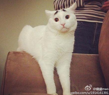 ü؈ɽķWjt؈üĘuȇ