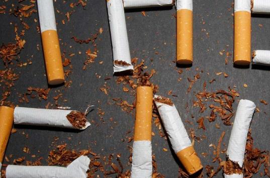男性備孕要做好飲食調理 推薦4種食物可以加強生育能力