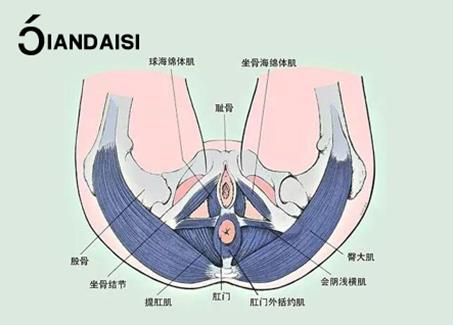 什么品牌縮陰產(chǎn)品效果好?不求便宜只要對!
