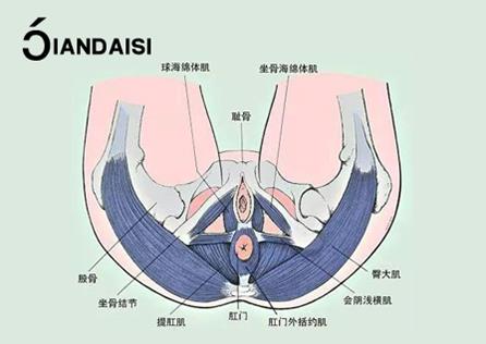 縮陰產品有沒有副作用?有沒有依賴性?