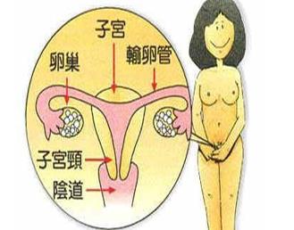 子宮切除會有什么并發癥?子宮切除要注意什么