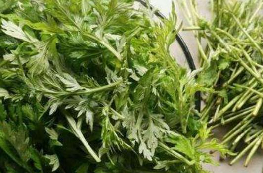 女人們最怕寒氣侵體 推薦2種女人防寒的食物