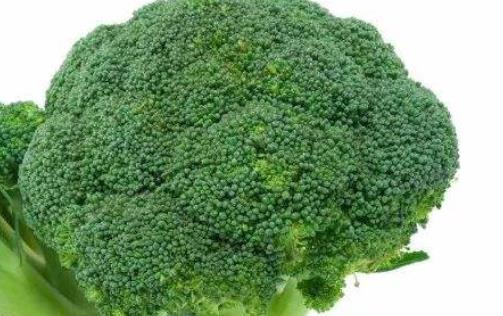 女性們很多都是素食主義者 女性最需要的三種蔬菜