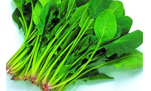 夏季蔬菜品種多樣 女性夏季吃四種蔬菜最養身