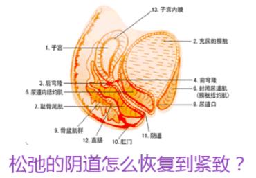 縮陰藥藥店有沒(méi)有賣的?買之前需了解這兩點(diǎn)