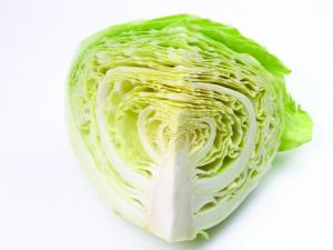 圓白菜怎么炒才好吃？干煸圓白菜的做法