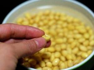 發芽豆還可以用嗎？發芽豆打豆漿更鮮美