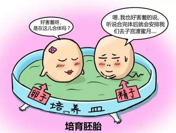 優貝貝助孕小講堂:關于試管嬰兒常見問題Q&A集錦