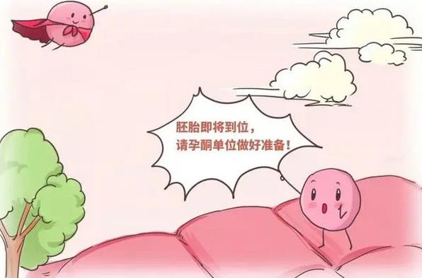 優(yōu)貝貝助孕有話說|黃體支持是打針好還是塞藥好