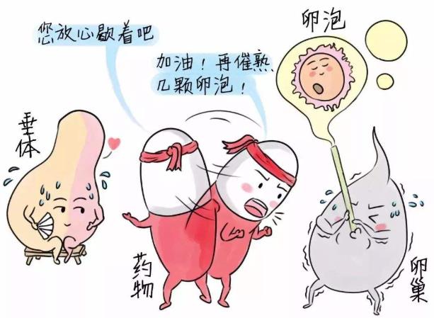 武漢仁愛醫院婦產科:檢查發現卵泡發育不良影響受孕怎么辦?這6種方法幫你解決