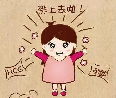 武漢仁愛醫院婦產科:孕酮和HCG除了提示“懷孕”,它們背后還藏著哪些“秘密”?