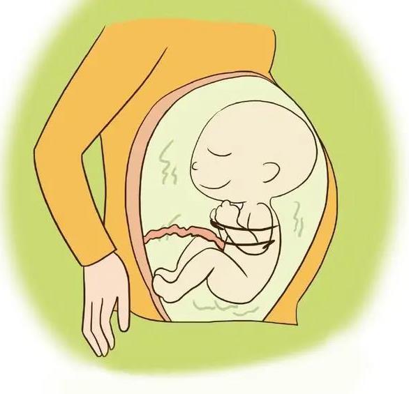 武漢仁愛醫院婦產科:孕酮和HCG除了提示“懷孕”,它們背后還藏著哪些“秘密”?