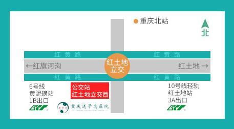 重慶送子鳥醫院醫生 醫德高尚,仁心仁術