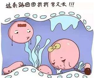 重慶送子鳥(niǎo)關(guān)懷健康行,孕路援助暖心間