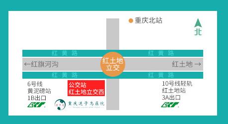 重慶送子鳥收費(fèi)標(biāo)準(zhǔn) 誠信醫(yī)療,就診便捷