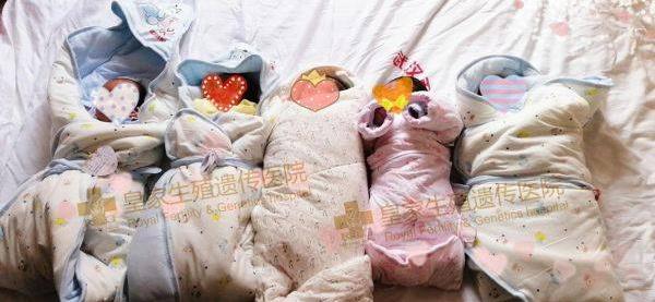 RFG皇家優生:國內試管三十年,他們為何踏上海外試管嬰兒之路?