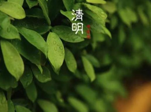 清明節(jié)應(yīng)不應(yīng)該回家掃墓?清明節(jié)哪天可以開(kāi)始上墳