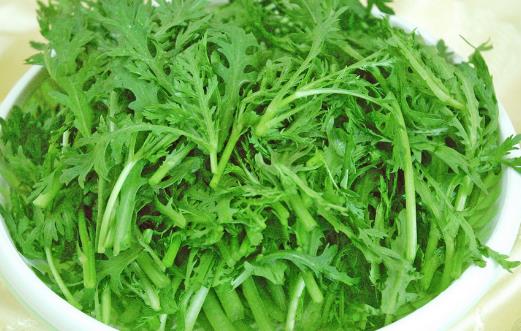茼蒿的種植時間 茼蒿什么季節能種植
