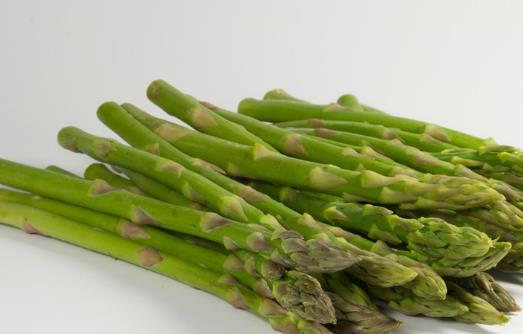 蘆筍種植時間是什么時候?蘆筍最佳種植時間