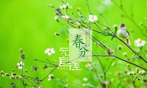 2018年春分是哪天?春分是什么時(shí)候?