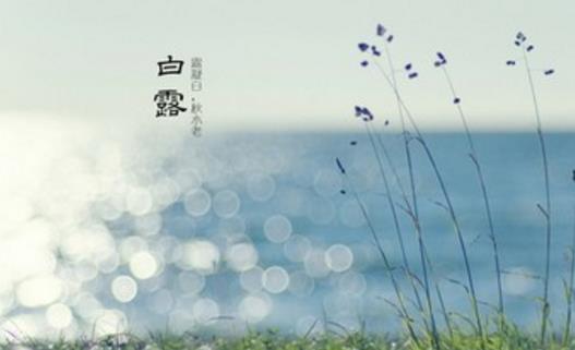 2018年白露是哪天?白露是什么時(shí)候?