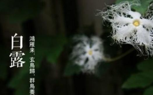 2018年白露是哪天?白露是什么時(shí)候?