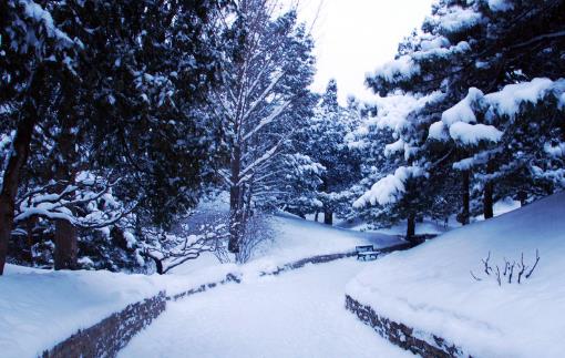 2018年大雪是哪天?大雪是什么時候?