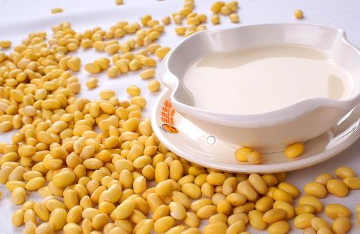 豆漿能天天喝嗎?什么時候喝最好?