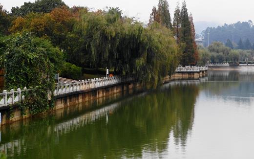 昆明什么季節(jié)旅游最合適 昆明旅游最佳時間