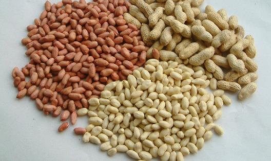 花生什么季節收獲 新鮮花生幾月份上市