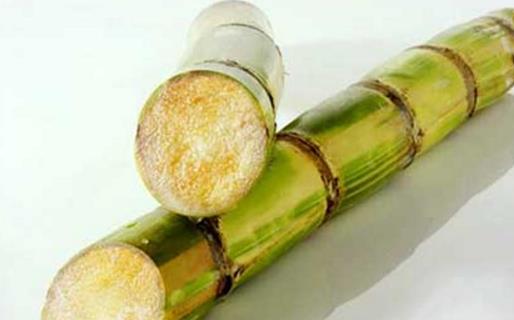 清明節為什么不能吃甘蔗 什么時候甘蔗不能吃