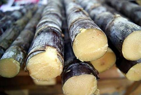 清明節為什么不能吃甘蔗 什么時候甘蔗不能吃