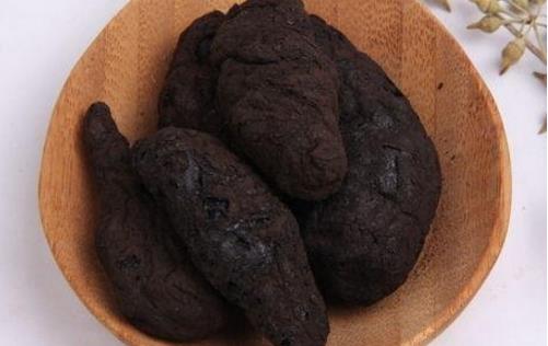 生地什么時候種植 生地的種植時間