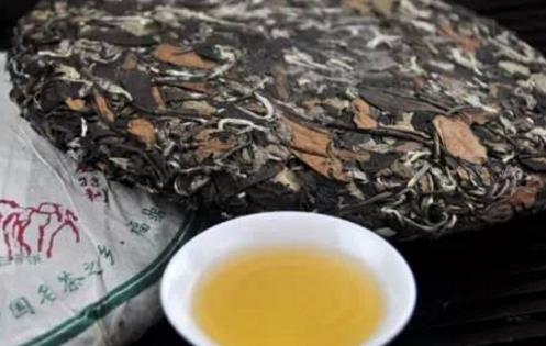 白茶什么時候開始壓餅 白茶壓餅最佳時間