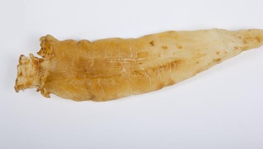 魚膠可以天天吃嗎?魚膠什么時候吃最好