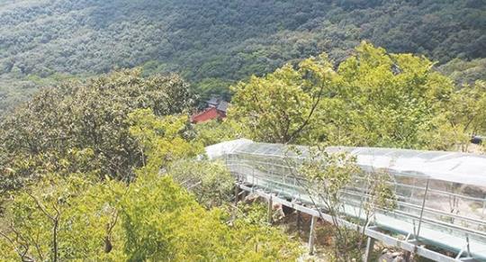 皇藏峪景區(qū)飛翔滑道什么時候開放 皇藏峪景區(qū)飛翔滑道開放時間