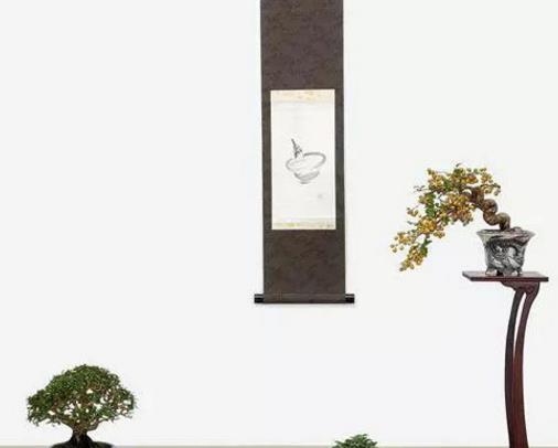 世界十大金獎(jiǎng)盆景排行榜,中國黃雀梅盆景位列第五