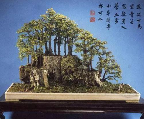 世界十大金獎(jiǎng)盆景排行榜,中國黃雀梅盆景位列第五