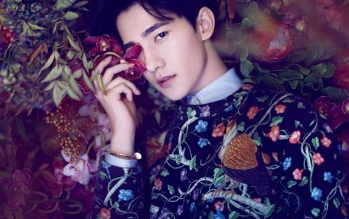 娛樂(lè)圈10大最火的90后男星排名,吳亦凡因《老炮兒》走紅