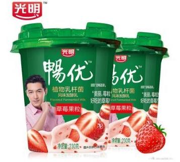 中國酸奶排行榜10強(qiáng)排名,蒙牛、伊利的酸奶都上榜