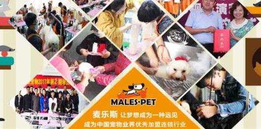 寵物店加盟十大品牌排名,大嘴狗寵物店、尋寵記寵物店可信賴