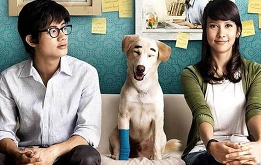 感人至深的泰國(guó)電影排名,《yes or no》《暹羅之戀》很動(dòng)人