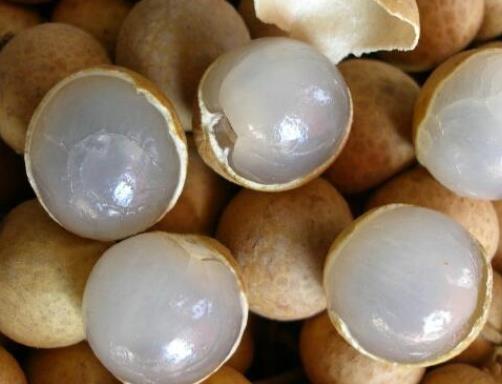 十大補(bǔ)腎水果排名,桑葚、獼猴桃對(duì)腎虛很有用