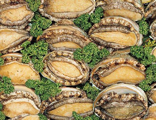十大抗癌魚類排名,鮑魚中的鮑靈素可抗癌,帶魚抗癌能力很強