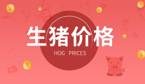 2019今日頭條年度關(guān)鍵詞榜單,國(guó)慶大閱兵、香港是國(guó)人關(guān)注熱點(diǎn)