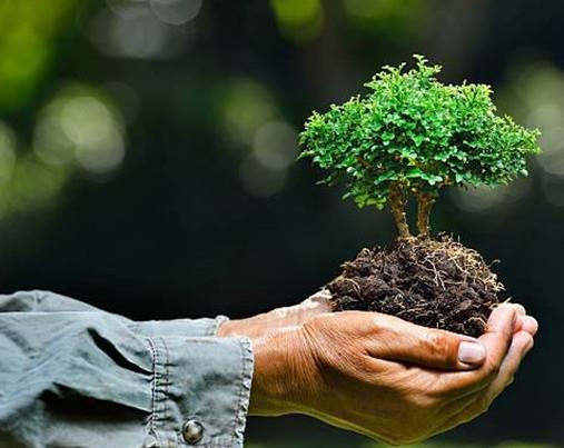 大學十大最爛專業(yè)排名,生物工程專業(yè)、環(huán)境工程一畢業(yè)就失業(yè)