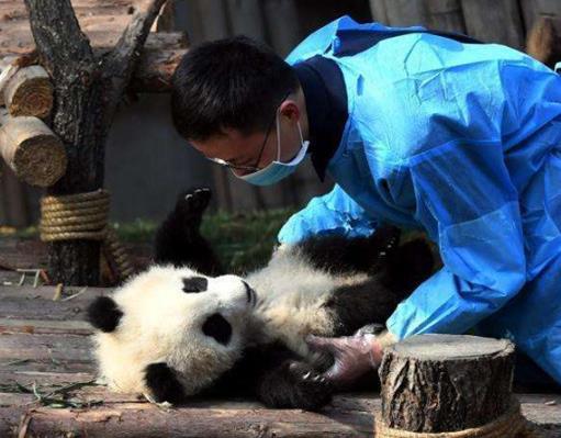 世界十大幸福職業排名,美食評論家、旅行博主關注度都很高
