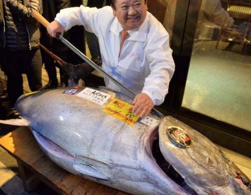 世界十大名貴海鮮,鵝頸藤壺微量元素高,澳洲帝王蟹肉質(zhì)肥嫩