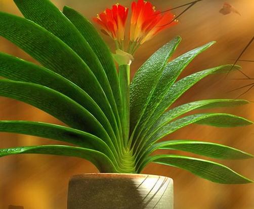 十大最耐寒的花卉排名,臘梅耐寒性極強(qiáng),山茶花在冬季開(kāi)放