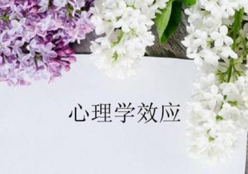 十大最合適女生報考的專業(yè),學(xué)前教育、小語種都是很好的專業(yè)